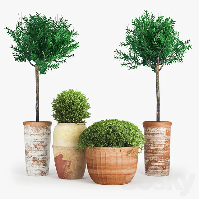 Clay_Plant_Set 3D Model
