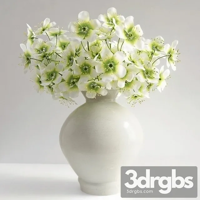 Clematis Marmoraria 3D Model Free