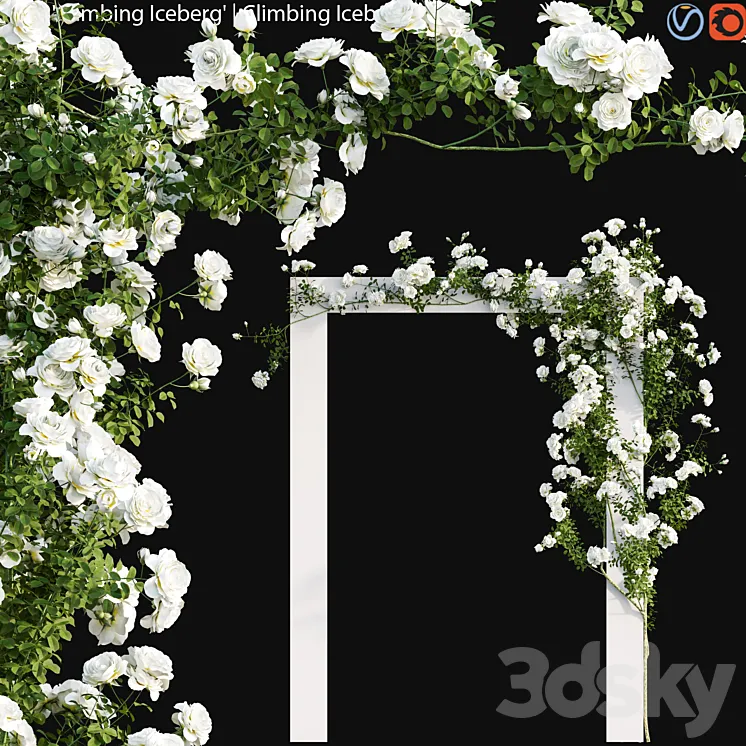 Climbing Iceberg Rose 01 3D Model Free