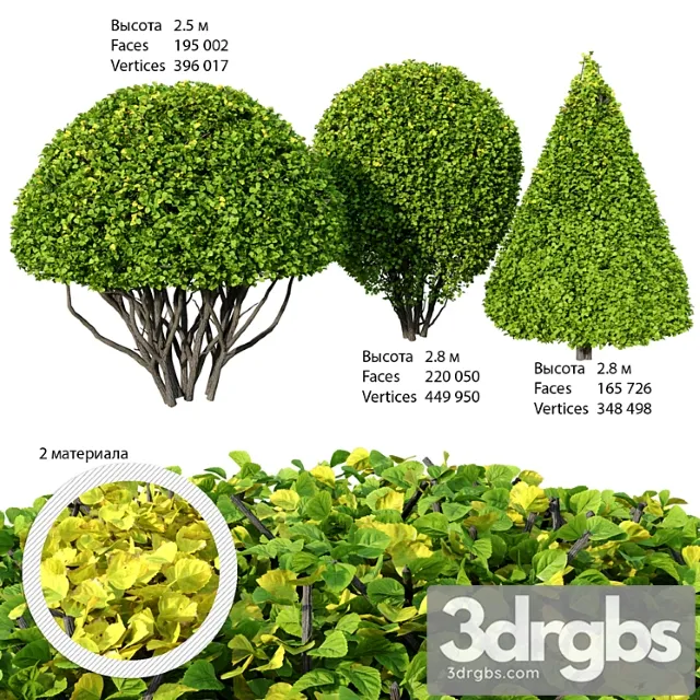 Clipped Shrubs 3D Model Free