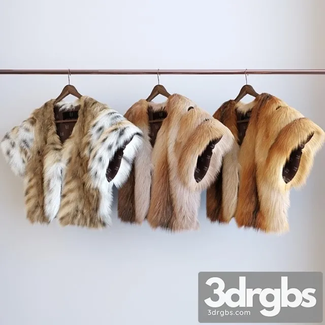 Clothes The 3 types of fur 3D Model Free