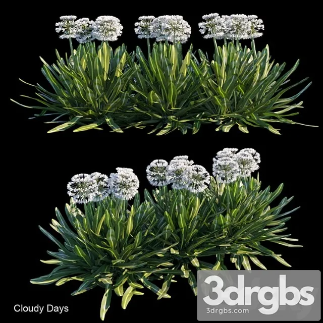 Cloudy Days 3D Model Free