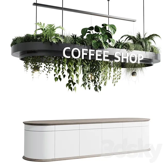 Coffee shop reception. Restaurant counter by hanging plant - 01 3DModel