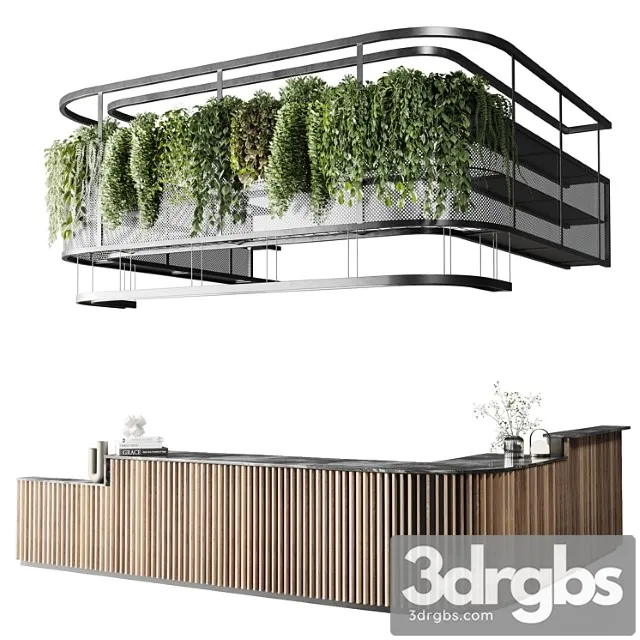 Coffee Shop Reception Restaurant Counter by Hanging Plant 03 3D Model Free