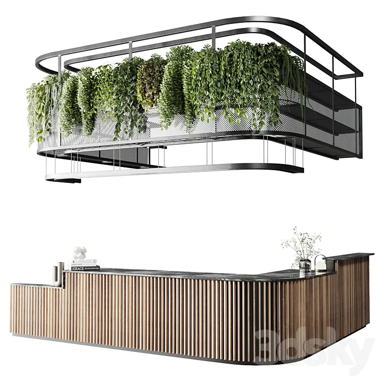 Coffee shop reception Restaurant counter by hanging plant - 03 3D Model Free
