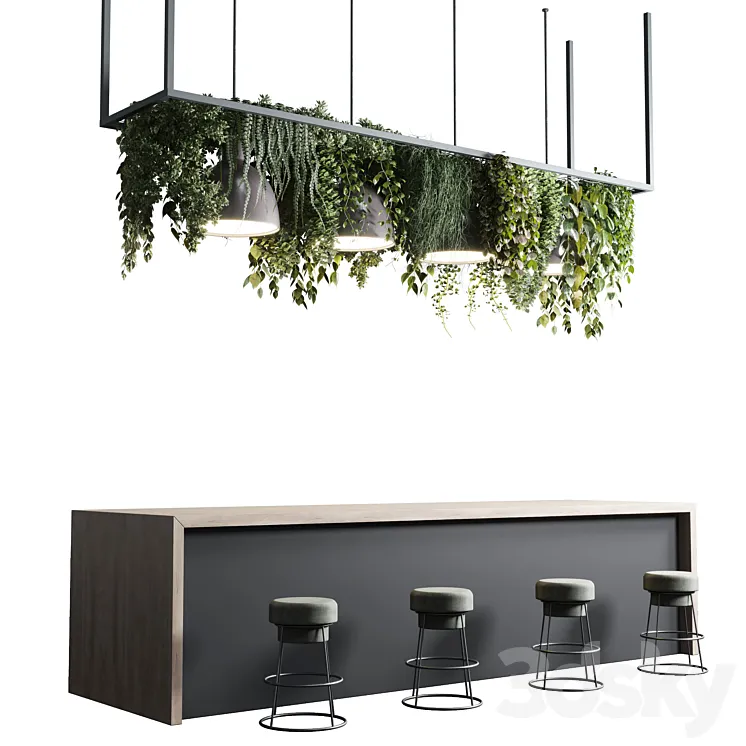 Coffee shop reception Restaurant counter by hanging plant - 04 3D Model Free