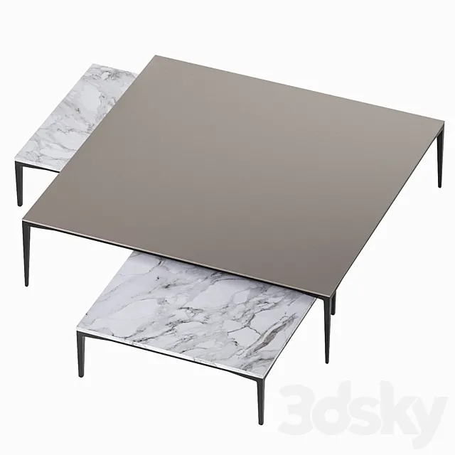 Coffee table Tray 2 Rimadesio 3D Model