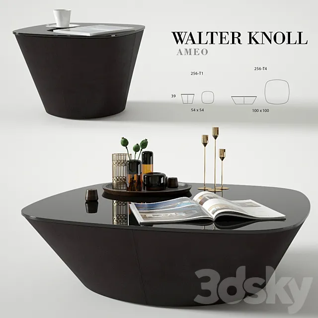 Coffee table Walter Knoll Ameo 3D Model