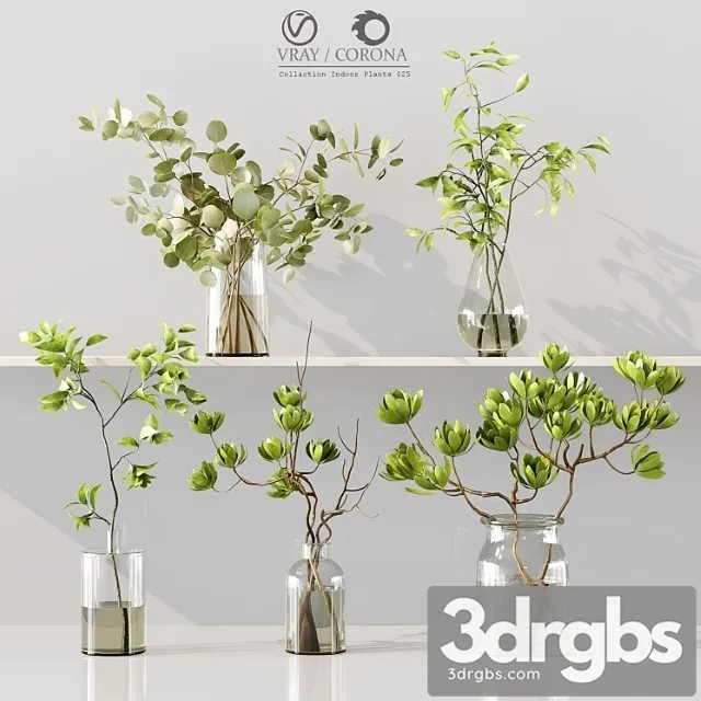 Collaction Indoor Plants 025 3D Model Free