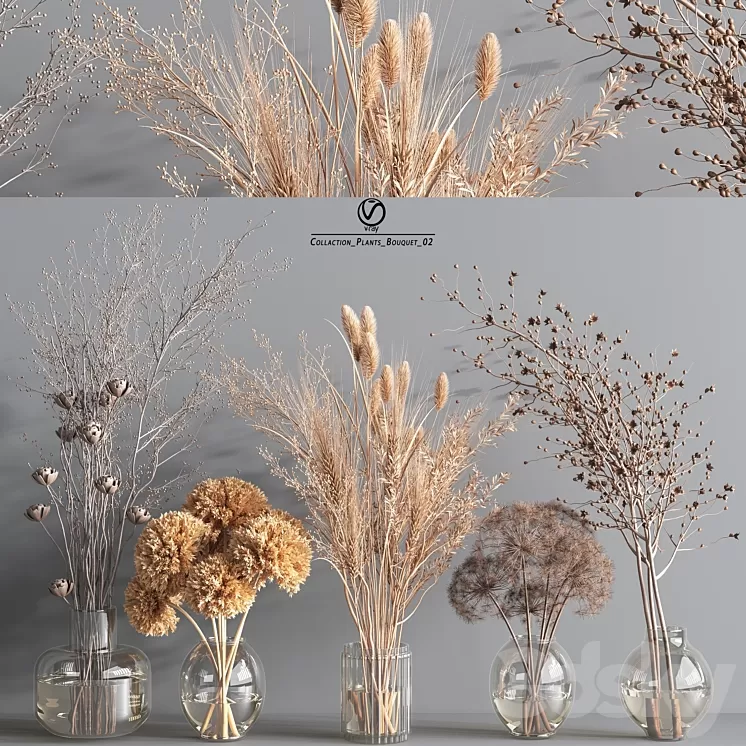 Collaction_Plants_Bouquet_2_vray 3D Model