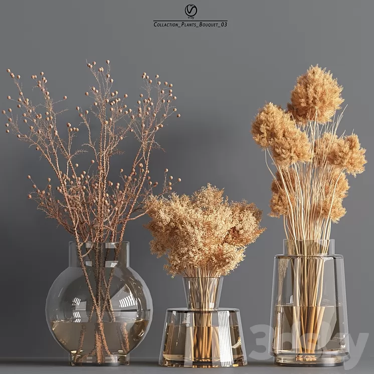 CollactionCollaction_Plants_Bouquet_03_vray 3D Model