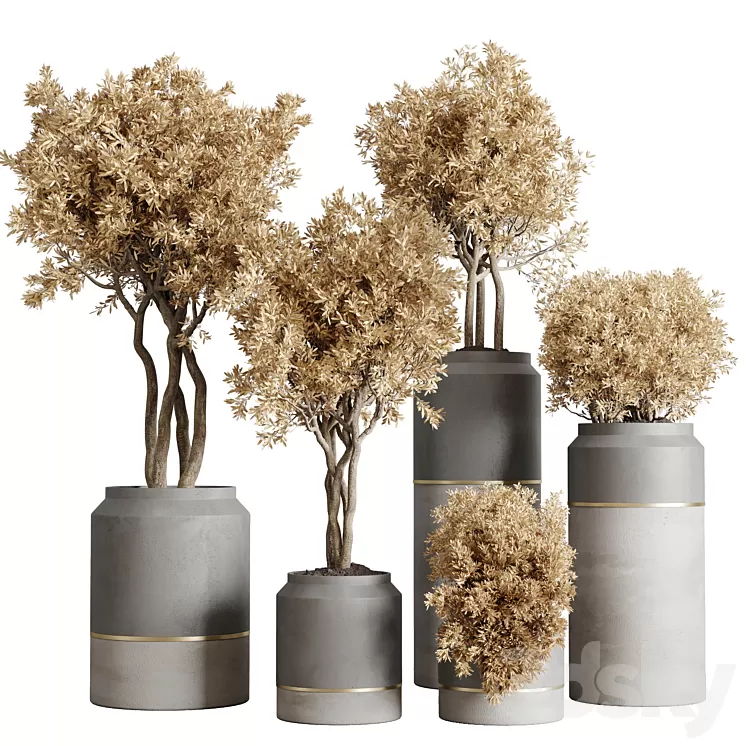 collection autumn leaves Indoor plant 128 dirty concrete pots dry plants corona 3D Model Free