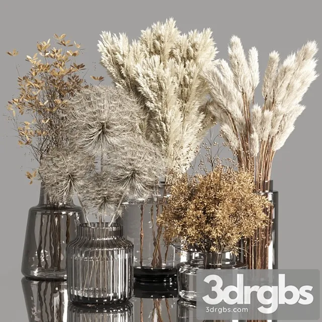 Collection Dry Plants Bouquet Indoor 02 3D Model Free
