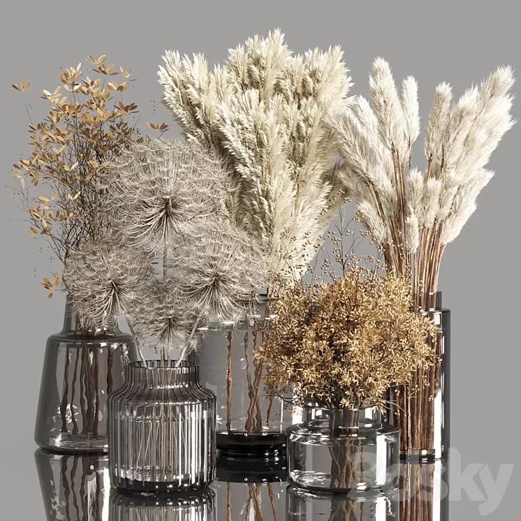 Collection Dry Plants Bouquet Indoor 02 3D Model Free