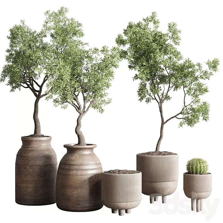collection indoor outdoor plant 114 vase concrete wood old pot tree cactus 3D Model Free