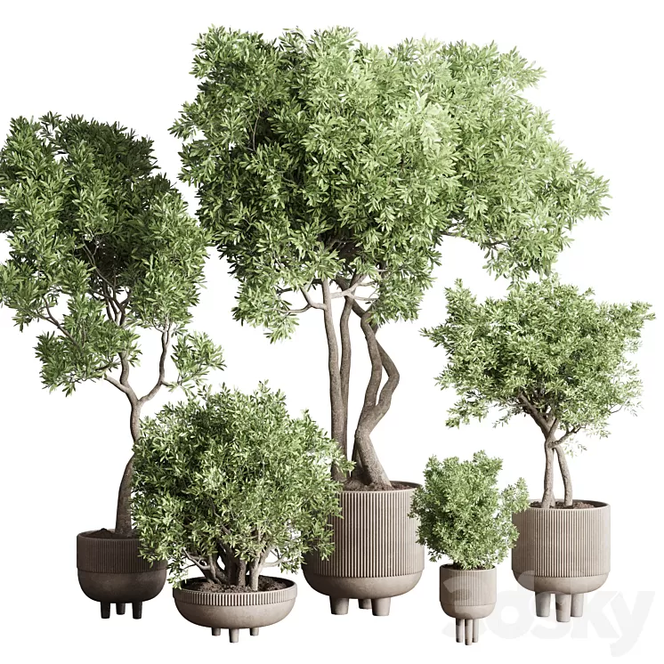Collection Indoor Outdoor plant 118 vase concrete pot tree corona 3D Model Free