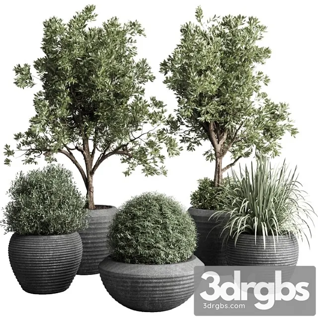 Collection Indoor Outdoor Plant 120 Plant Tree Grass Vase Dirty Concrete 3D Model Free
