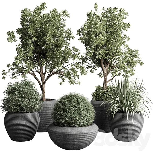 Collection indoor outdoor plant 120 plant tree grass vase dirty concrete 3DModel
