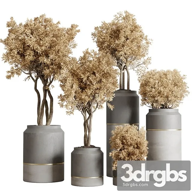 Collection Indoor Outdoor Plant 128 Dirty Concrete Pots Dry Plants Corona 3D Model Free
