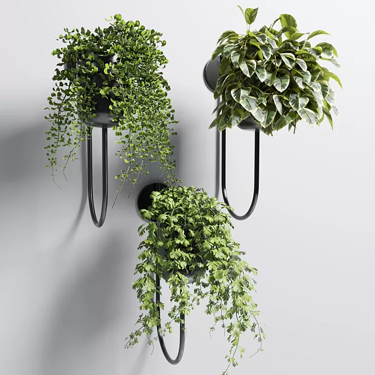 collection Indoor plant 101 vase metal stand wall plant 3D Model