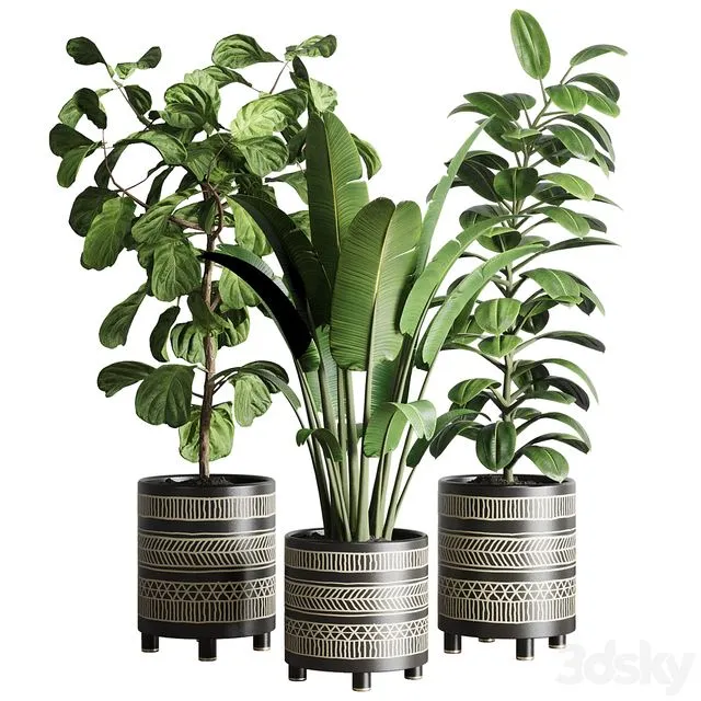 Collection Indoor plant 119 3D Model