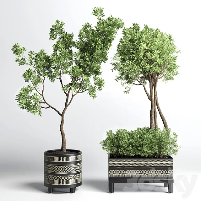 Collection Indoor plant 132 vase handmade pottery plant tree pot 3DModel