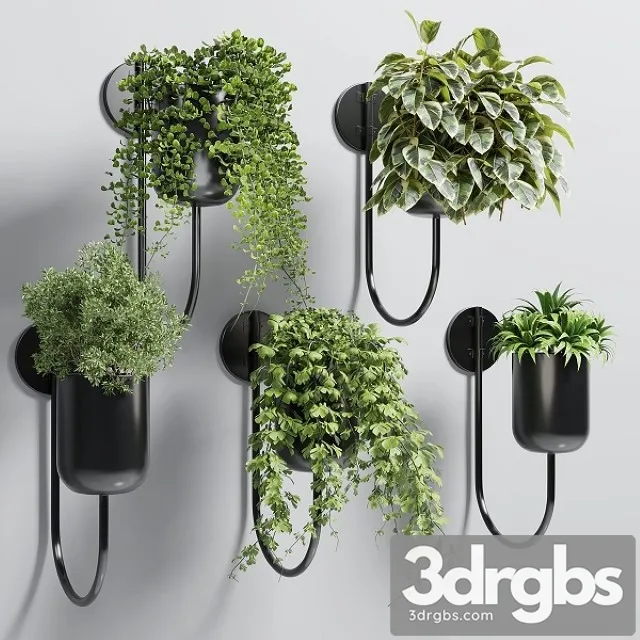 Collection Indoor Plant 135 Vase Metal Stand Wall Plant 3D Model Free