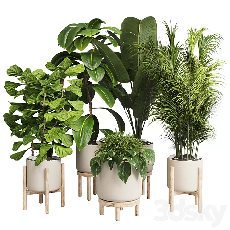 collection Indoor plant 30 -wood vase 3D Model