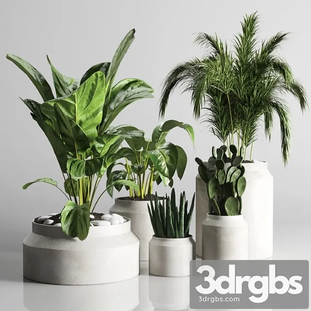 Collection Indoor Plant 33 Concrate Vase 3D Model Free