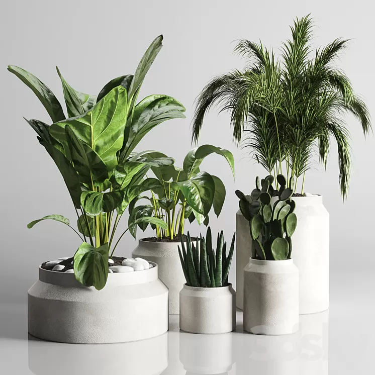 collection Indoor plant 33-concrate vase 3D Model Free