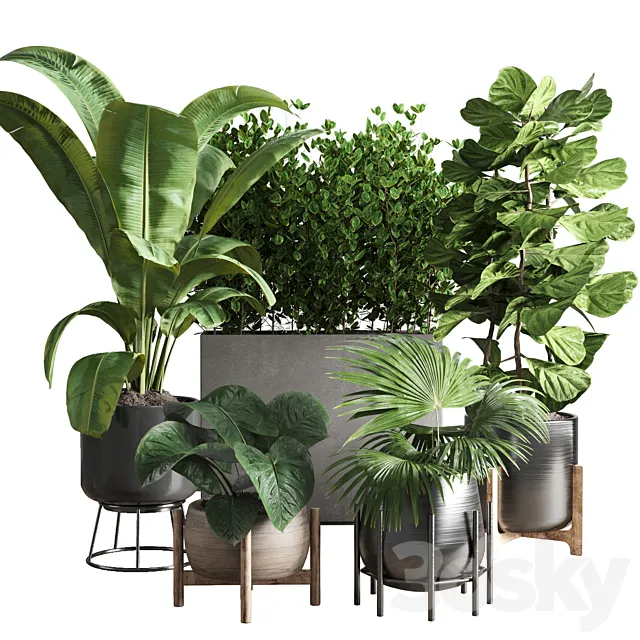 collection Indoor plant 43 vase 3D Model