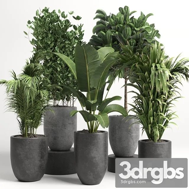 Collection indoor plant 46 vase concrete