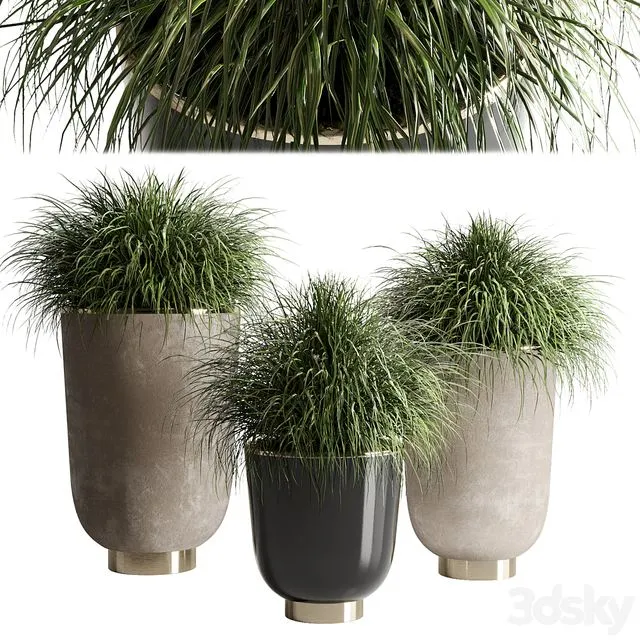 Collection Indoor plant 54 vase concrete plant grass pot 3D Model