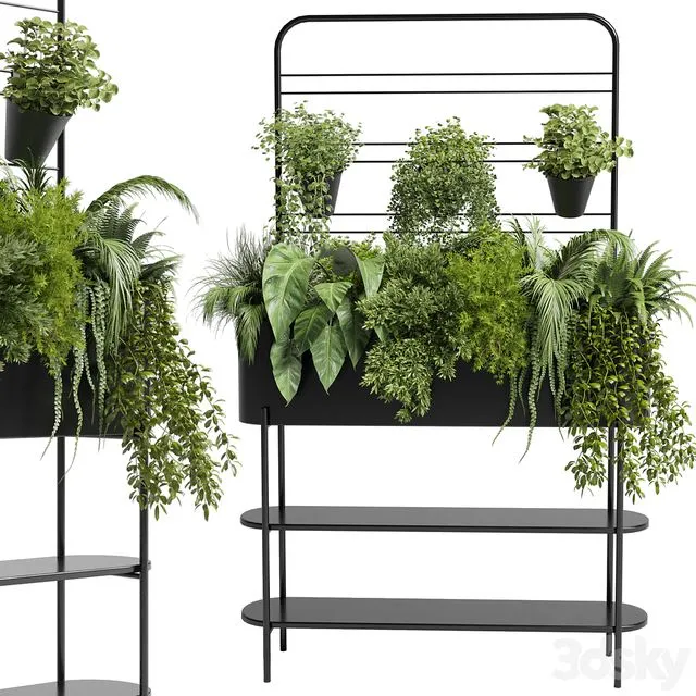 Collection Indoor plant 69 Auckland Black Metal Flower Box plant ivy fern pots 3D Model