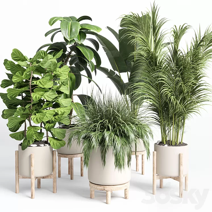 collection indoor plant 73 pot grass palm plant wood vase pot 3D Model