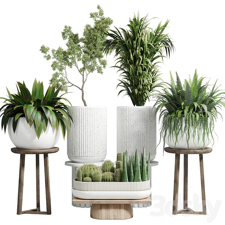 collection Indoor plant 81 pot tree plant palm fern cactus concrete vase 3D Model Free