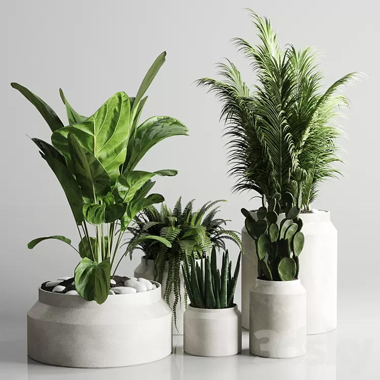 Collection indoor plant 96 pot plant palm fern cactus concrete vase 3D Model