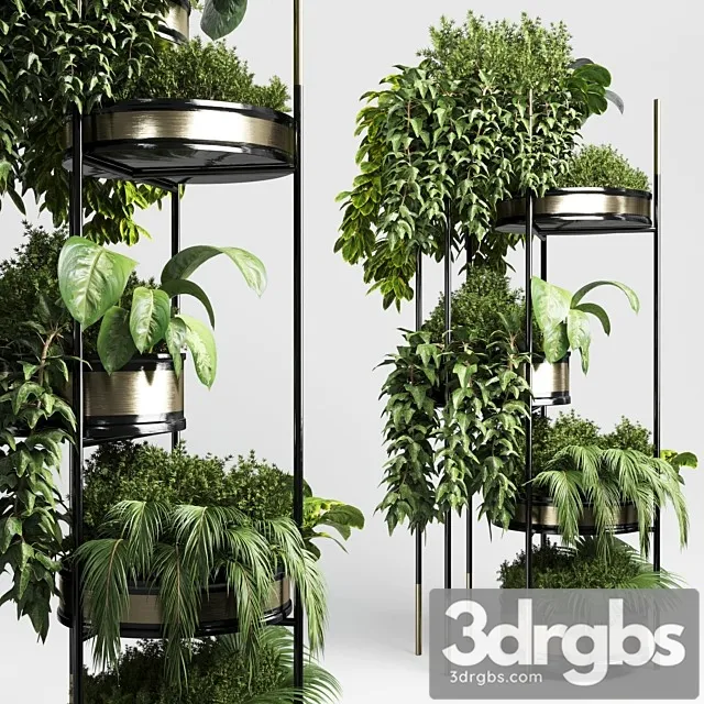 Collection Indoor Plant Plant Stairs Stand Metal Vase 3D Model Free