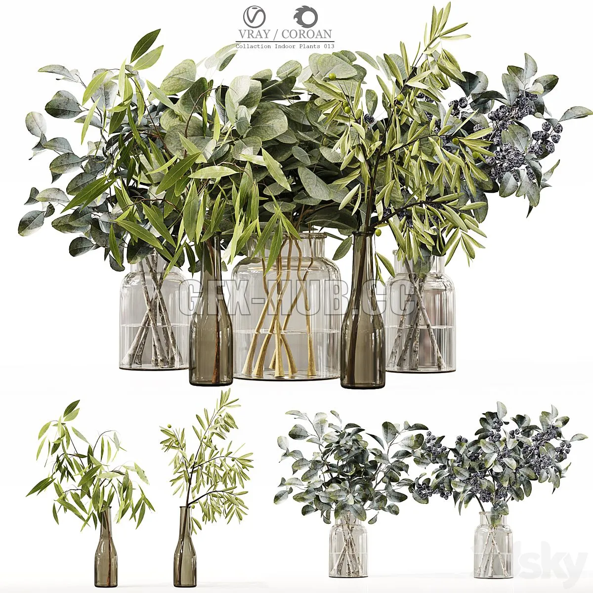 Collection Indoor Plants 013 3D Model