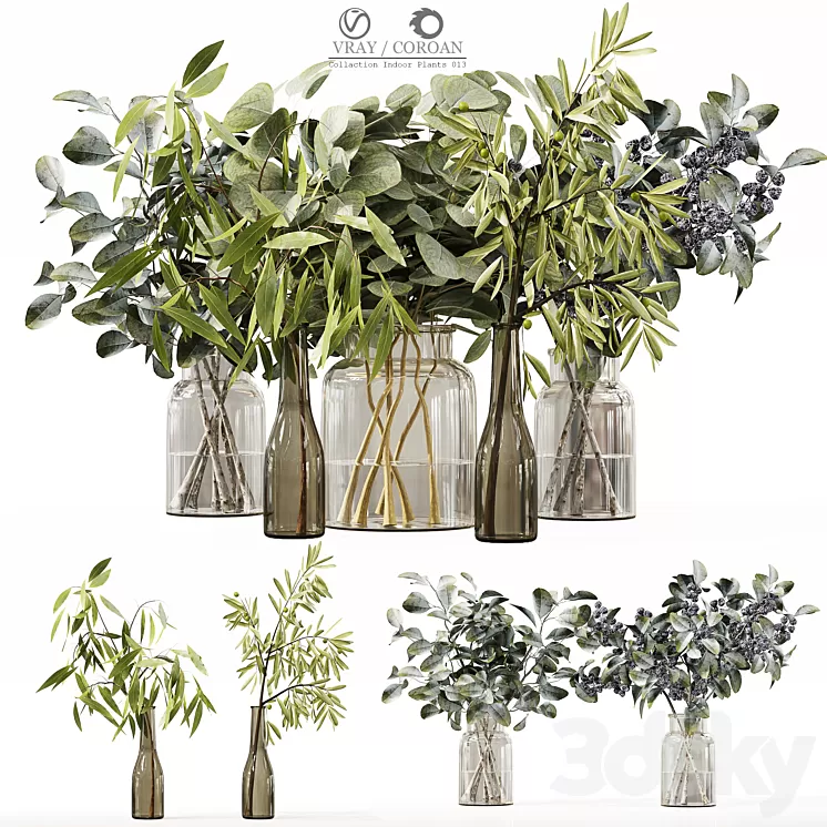 Collection Indoor Plants 013 3D Model Free