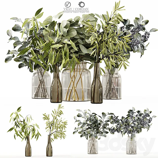 Collection Indoor Plants 013 3DModel