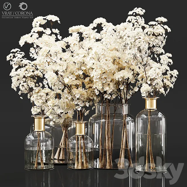 Collection Indoor Plants 014 3D Model