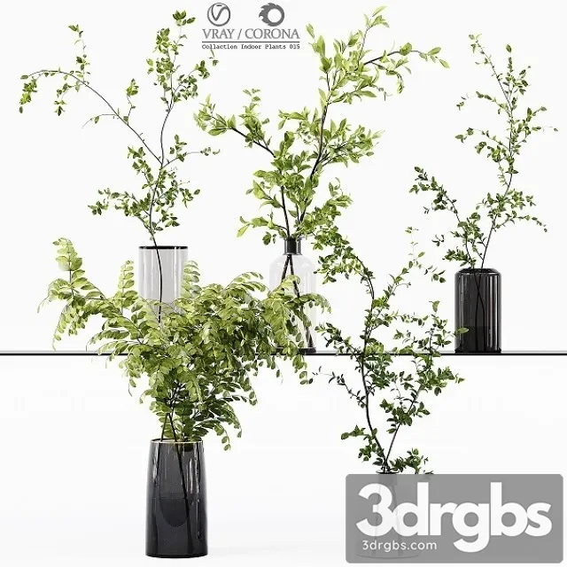 Collection Indoor Plants 015 3D Model Free