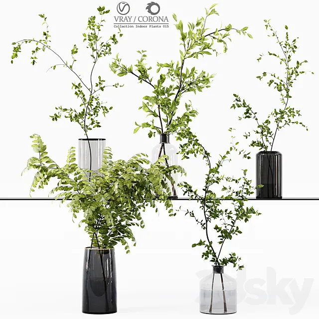Collection Indoor Plants 015 3D Model