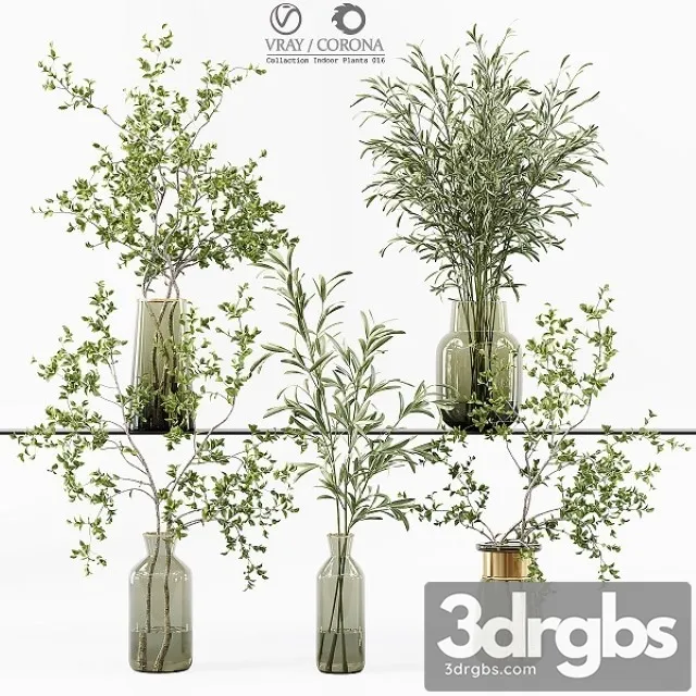 Collection Indoor Plants 016 3D Model Free