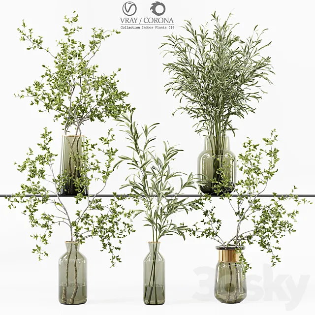 Collection Indoor Plants 016 3D Model