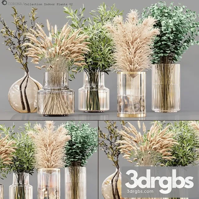 Collection Indoor Plants 02 3D Model Free