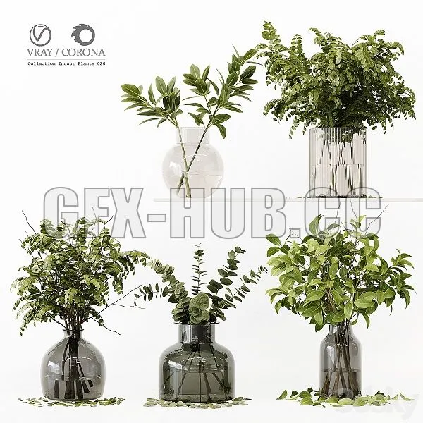 Collection Indoor Plants 020 3D Model
