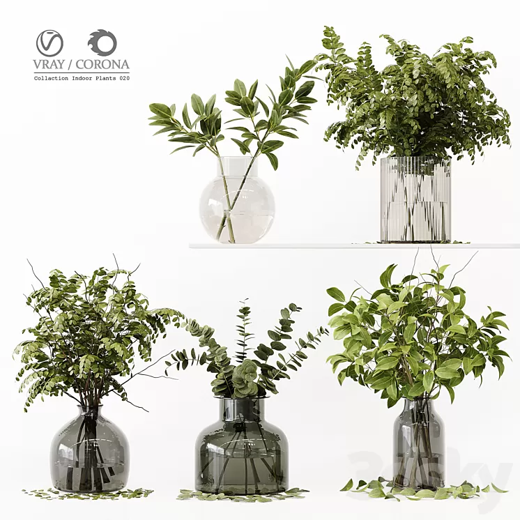 Collection Indoor Plants 020 3D Model Free