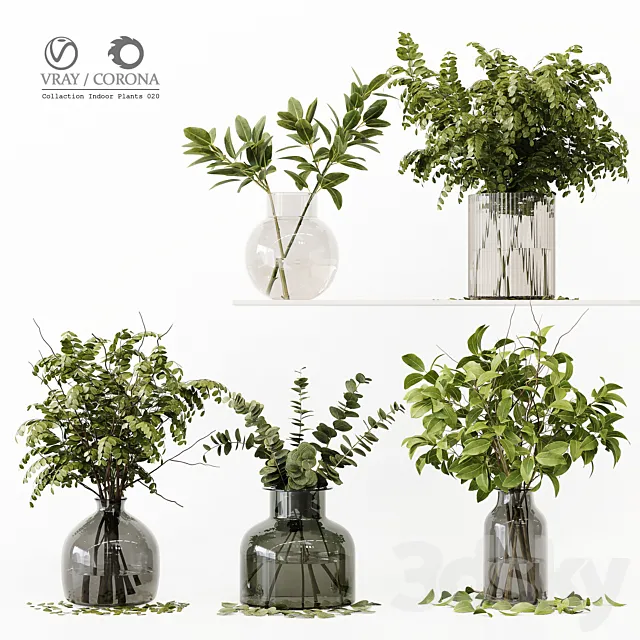 Collection Indoor Plants 020 3DModel